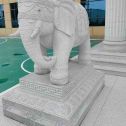 葫芦岛 白麻花岗岩动物异形石雕-大象