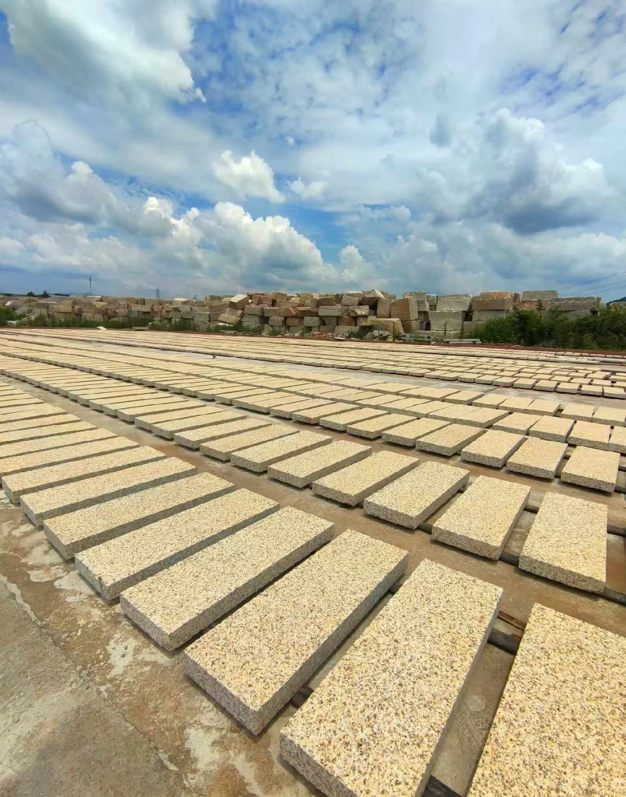 葫芦岛 黄金麻荔枝面花岗岩石材地铺石防护中