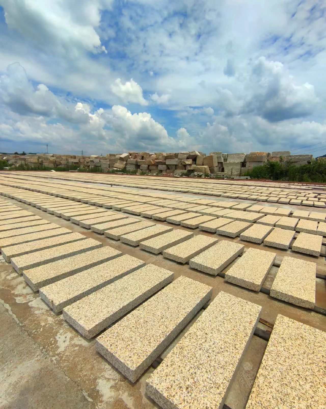 葫芦岛 黄金麻花岗岩荔枝面地铺石防护中